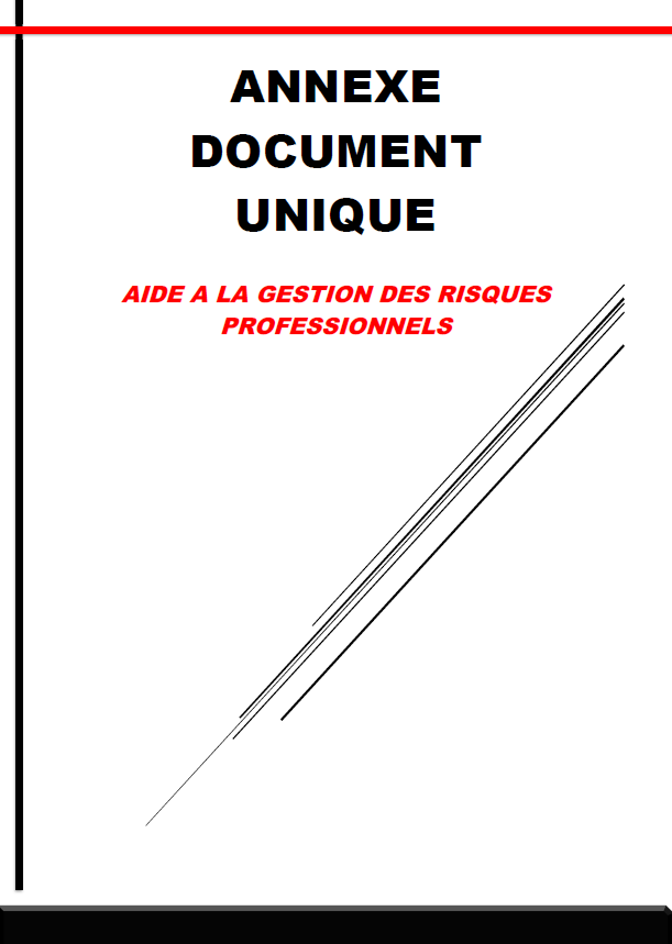 ANNEXE ET NOTICE DUERP